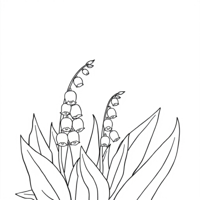 Lily of the Valley