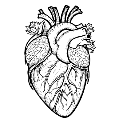 True Heart
