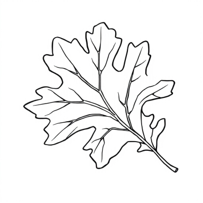 Oak Leaf for Kids