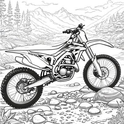 Honda Dirt Bike