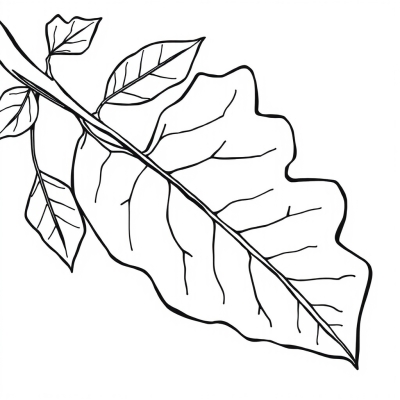 Ash Leaf