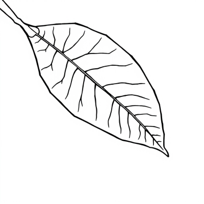 Birch Leaf