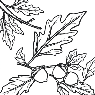 Oak Leaf and Acorns