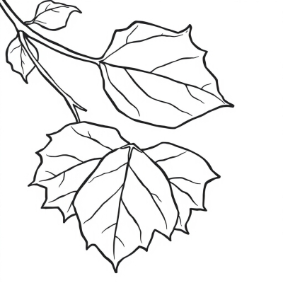 Sumac Leaf