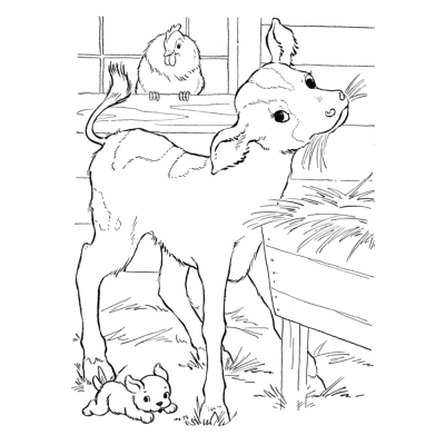 Calf, Chicken, and Dog