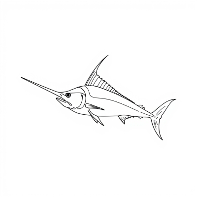 Marlin Fish