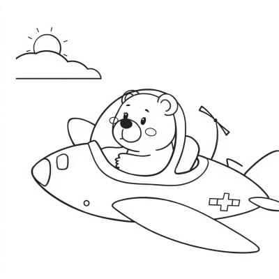 Bear in an Airplane