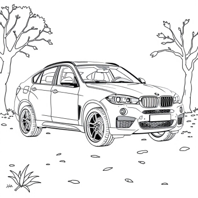 BMW X6 (E71)