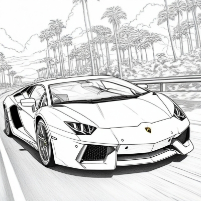 Two Lamborghinis on the Road
